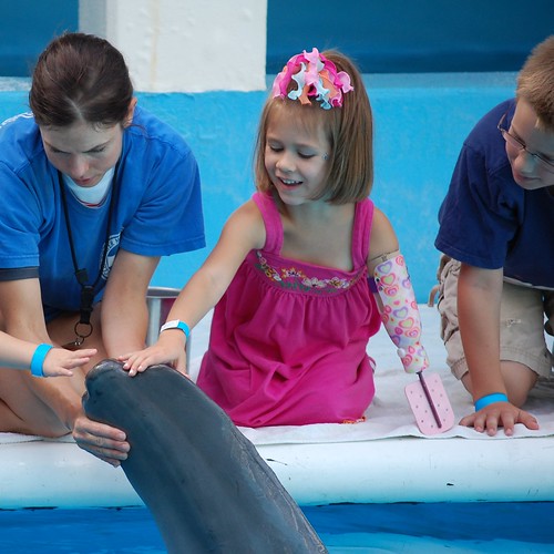 Через месяц после фильма   Дельфин сказка   , была освобождена, наша семья получила особый подарок посещения Зимнего   Клируотер морской аквариум   ,  Октябрь 2011 года навсегда останется для нас особой памятью